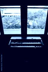 preview cold