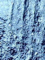 preview cold