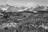 preview bw