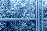 preview cold