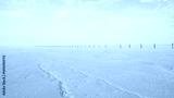 preview cold