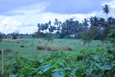 image to crop