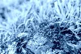 preview cold