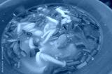preview cold