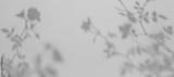 preview bw