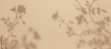 preview original