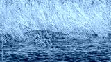 preview cold