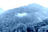 preview cold
