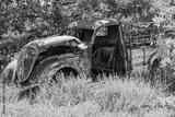 preview bw