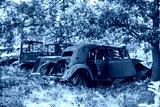 preview cold