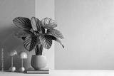 preview bw