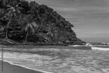 preview bw