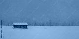 preview cold