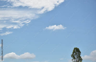 image to crop