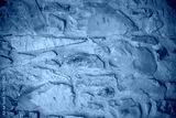 preview cold