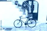 preview cold