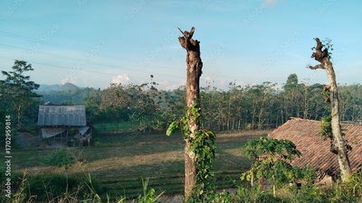 image to crop