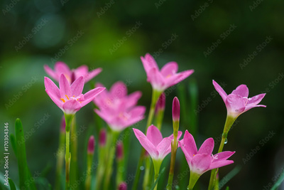 image to crop