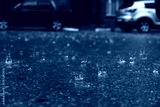 preview cold