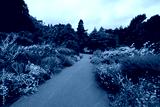 preview cold