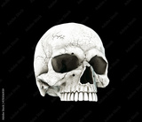 preview original
