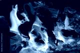 preview cold