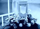 preview cold