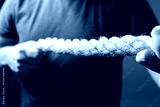 preview cold