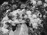 preview bw
