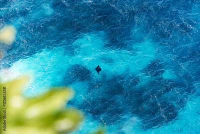 image to crop