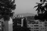 preview bw