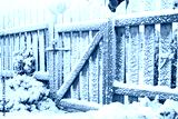 preview cold