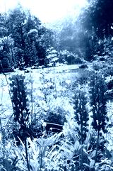 preview cold
