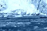 preview cold