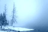 preview cold