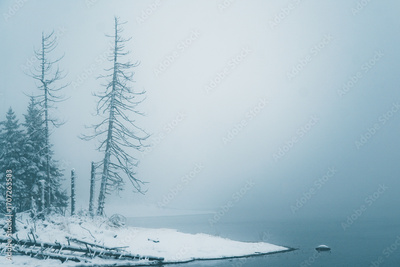image to crop