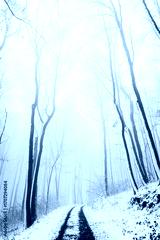 preview cold