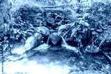 preview cold