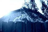 preview cold