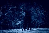 preview cold