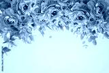 preview cold
