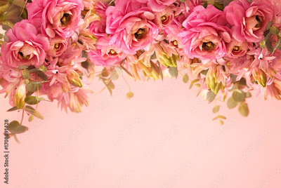 image to crop
