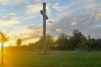 image to crop