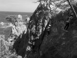 preview bw