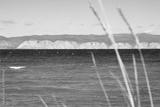 preview bw