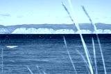 preview cold