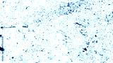 preview cold
