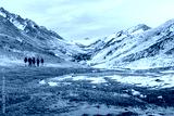 preview cold