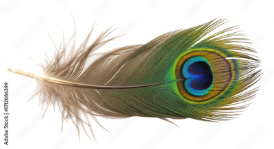 image to crop