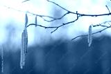 preview cold